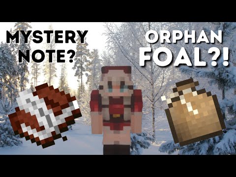 Breeding one of my mares and hoping she'll take in an orphaned foal - Minecraft SWEM RRP