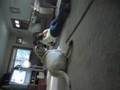 AFV