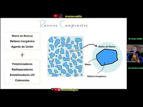 Resina Compuesta y sus componentes