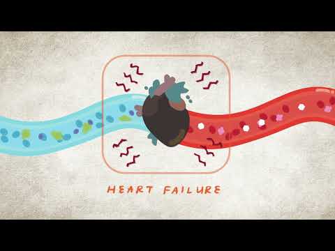 What is Cardiovascular Disease? | The Kidney Disease, Heart Disease, and Diabetes Connection | NKF