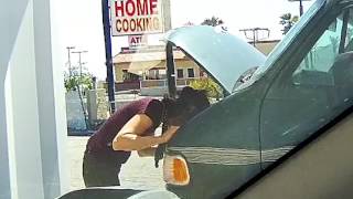 Unknown Species Of Hippie Wook Spotted!