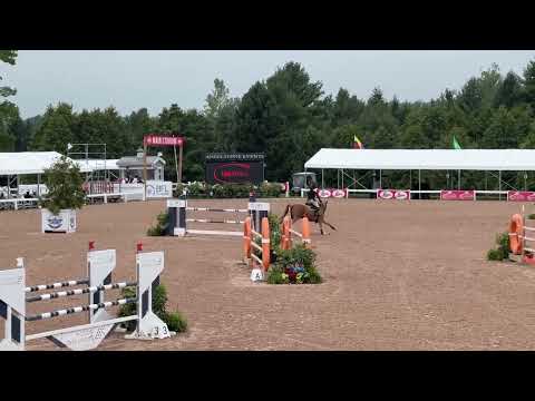 Nox Blue Van De Hertogen video 2