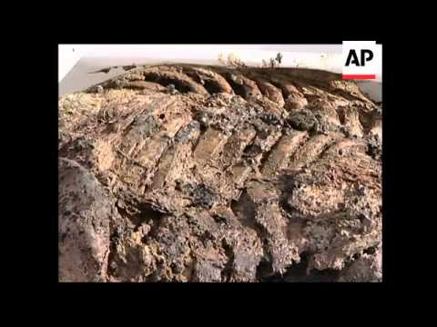 Survivors of the Balkans conflict ++WRAP++