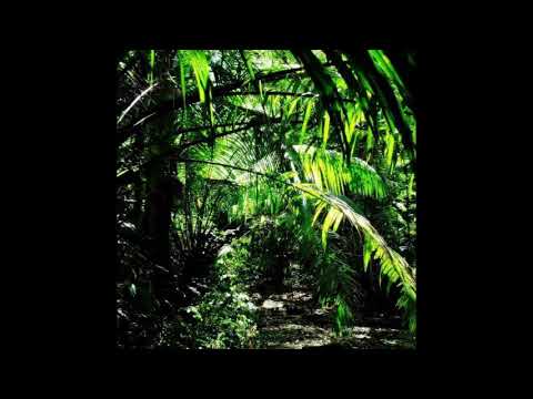 DSC & Scion - Respect