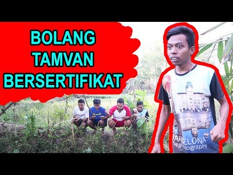 konci-13-komedi-ngapak-cilacap-bolang-tamvan-bersertifikat