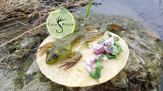 Pesca De RANAS con Caña | Caza Y Pesca