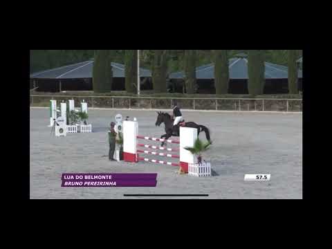 Lua do Belmonte ZURITO DO BELMONTE x HEARTBREAKER - Video 7 video thumbnail
