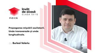 "Propagarea mișcării oscilatorii. Unde transversale și unde longitudinale"