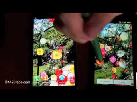 Roses of Rome Live Wallpaper Video