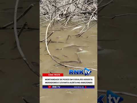 O QUE ESTÁ ACONTECENDO COM OS PEIXES EM CODAJÁS?