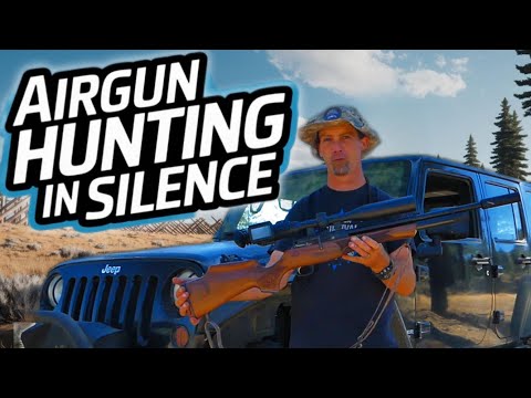 Silent Airgun Hunt! Daystate Revere .22 vs Ground Squirrels | ASMR Hunting Adventure