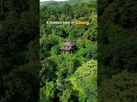 Best Resort in Coorg | Budget Friendly Stay In Coorg | Coorg Resort For Couples With Private Pool