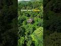 Best Resort In Coorg Budget Friendly Stay In Coorg Coorg Resort For Couples With Private Pool