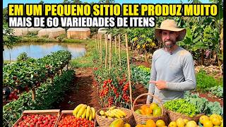 MOSTRANDO QUE É POSSIVEL TER LUCRO COM A ROÇA