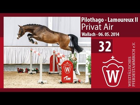 32 Privat Air Wallach v. Pilothago - Lamoureux II