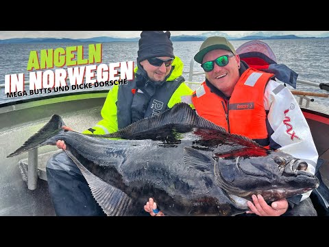 Mega Heilbutts und dicke Dorsche beim Angeln in Norwegen