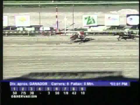 Resumen Sabado, 26 de Noviembre de 2011 - La Rinconada