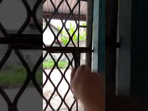 plant ice cream - tiktok Susanto Gouw #shorts