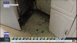 &quot;Ça joue sur le moral, sur mon couple.&quot; Chez lui, les cafards sont partout !