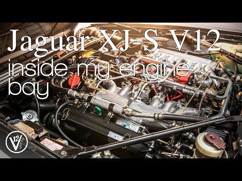 Jaguar XJ-S V12 manual - What's Inside my engine bay?!