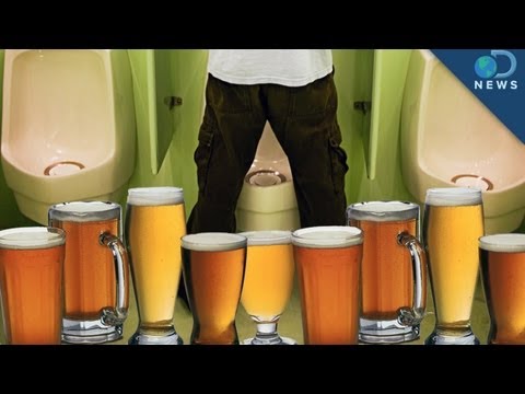 Breaking the Seal: Fact or Fiction?