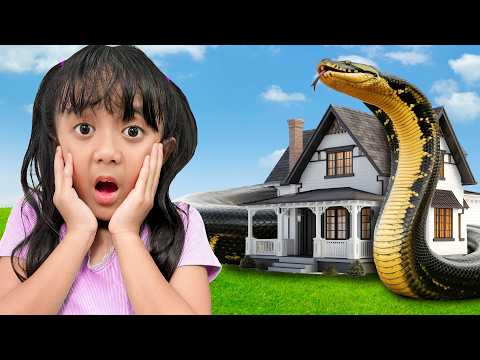 SAMANTHA IS SCARED ‼️ THE SECONDS THE GIANT TITANOBOA SNAKE ENTERS THE HOUSE 😱 VIDEO COMPILATION