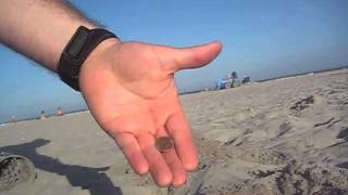 preview picture of video 'Wildwood Beach Metal Detecting July 06, 2013 Whites Spectra V3i'