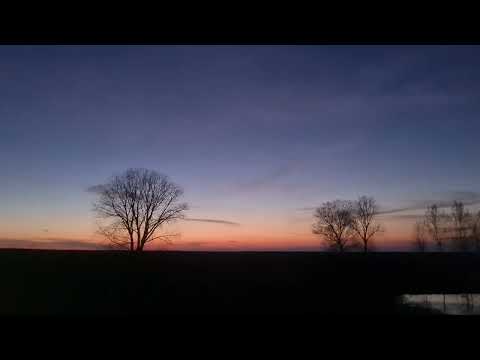 frogs sound in Giurgeni Ialomița