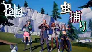 無料ゲーム【Switch版配信】『#Palia パリア』 (パリア生活#53日 )　＃元気に実況ライブ配信　(初見さんいらっしゃい‼)