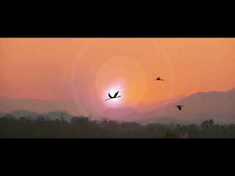 Idealservice, partner di Allena-menti 2.0