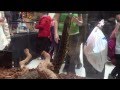 Yellow Anaconda 1080p