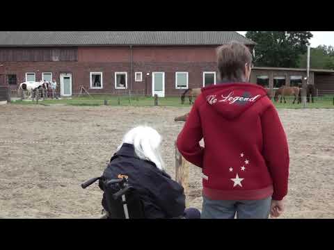 Der ASB Wünschewagen Hamburg: Einmal noch zum Pferdehof - Sunny Ranch Wesselburen