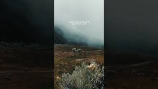 Download lagu STORY WA SUPPORT TERBAIK | STORY WA LAGU BARAT | STORY WA QUOTE | STORY WA TERBARU mp3 Download lagu STORY WA SUPPORT TERBAIK | STORY WA LAGU BARAT | STORY WA QUOTE | STORY WA TERBARU mp3