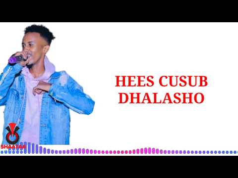 Hees Cusub Dhalasho Saciid Bilaadan