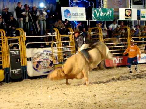 MARCELO SOUZA CRUZ - MONTARIA EM TOURO - BOITUVANA 2011