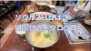 ソウル2日目は明洞付近をウロウロ