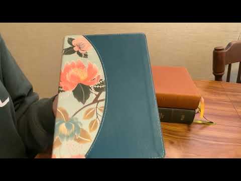 CSB Women’s Bibles’ Comparison