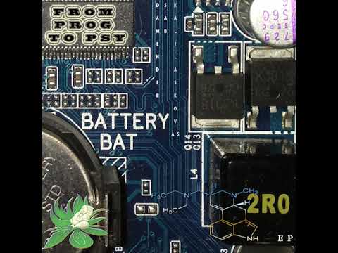 01 Kalilaskov AS & Damender - Right On