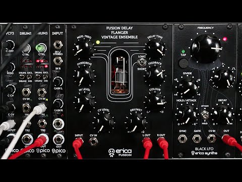 Erica Synths Fusion Delay/Flanger/Vintage Ensemble image 2