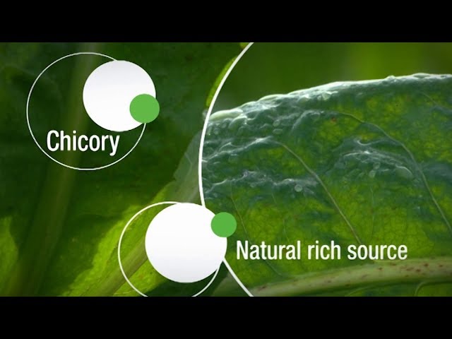 imagen-video-thefoodtech