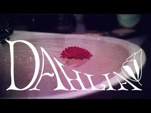 Odd Beholder - Dahlia (Official Video / Short Movie)
