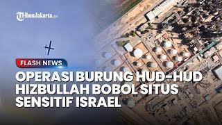 Israel Terpojok! Hizbullah Klaim Keberhasilan Operasi Burung Hud-Hud, Bongkar Situs Sensitif Israel