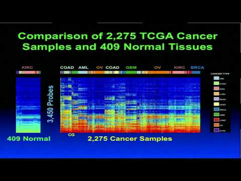 TCGA Symposium, Lead Talk - Peter W. Laird