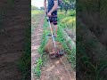 Small Powerful Electric Weeding Tool Multifunction Satisfying Short