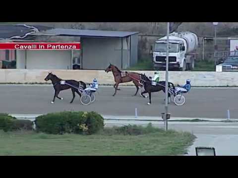 Aversa trotto 12 Febbraio 2020 - 5° Corsa