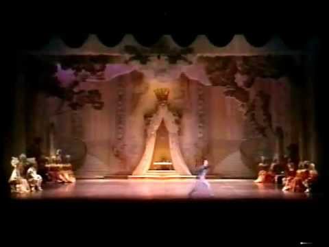 Sleeping Beauty   Blue Bird Pas de deux  1990  Kiev