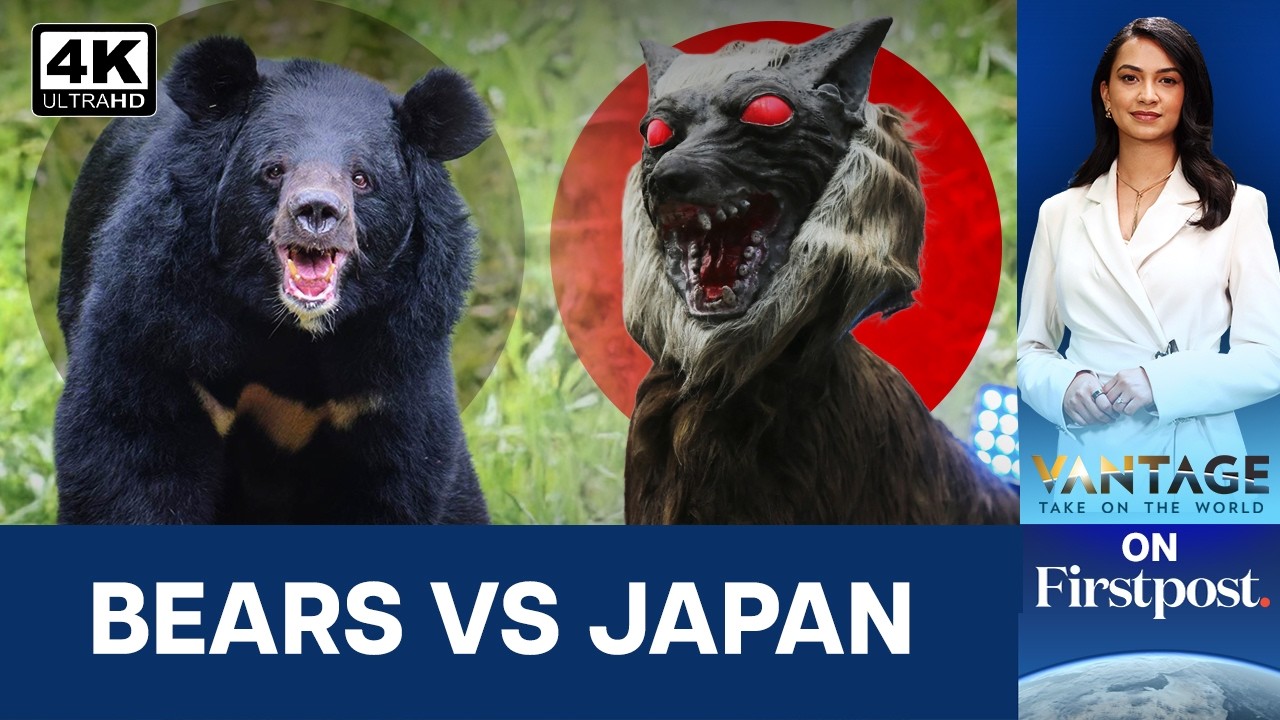 Why Is Japan Deploying 'Robot Wolves' Against Bears? | Vantage on Firstpost | 4K