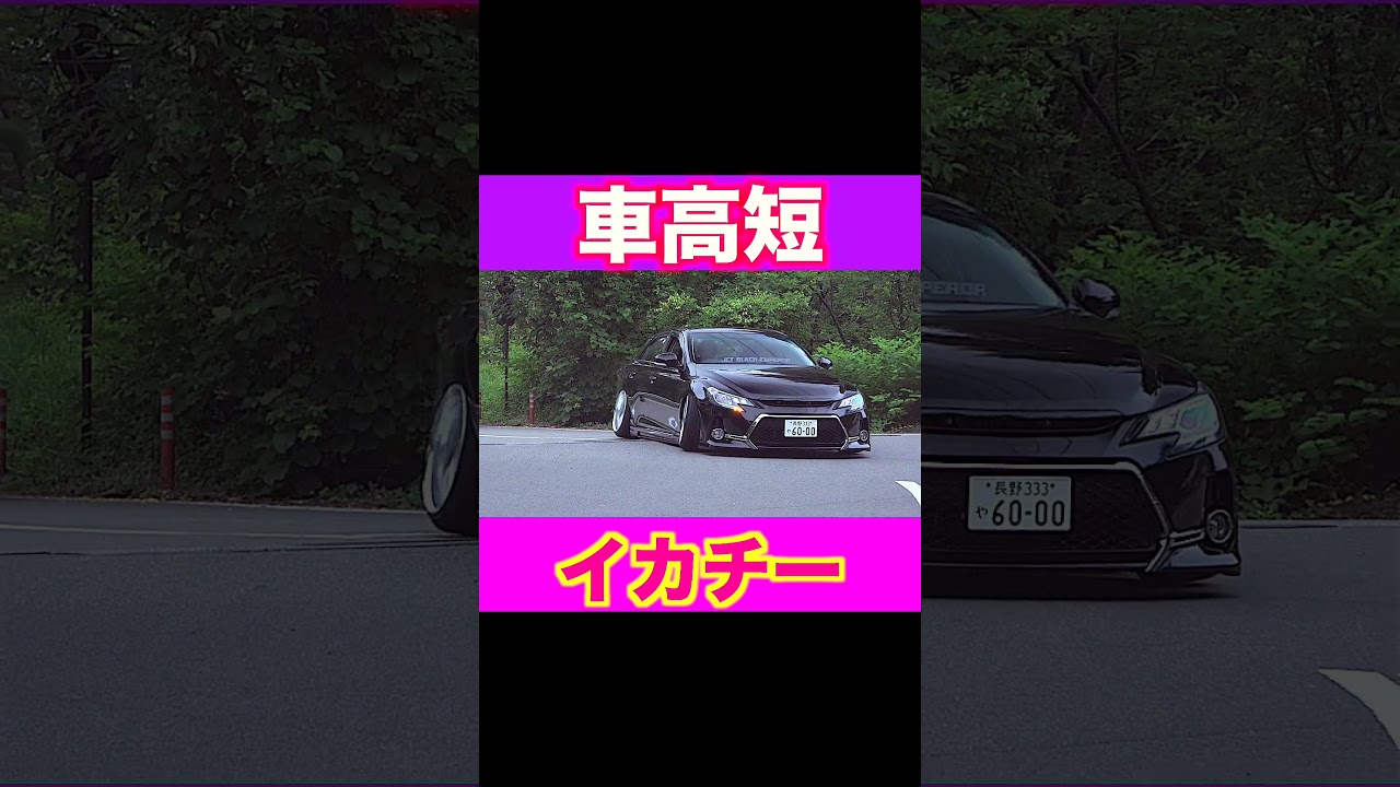 低すぎて異次元…レベチすぎるカスタムカー