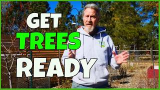 How to Prepare Trees for Winter