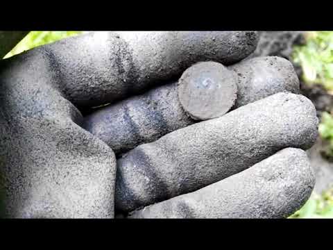 Sondeln Metalldetekting.